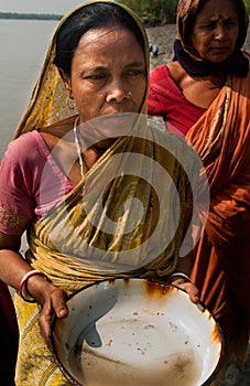 Prawn seed collection in Sunderban